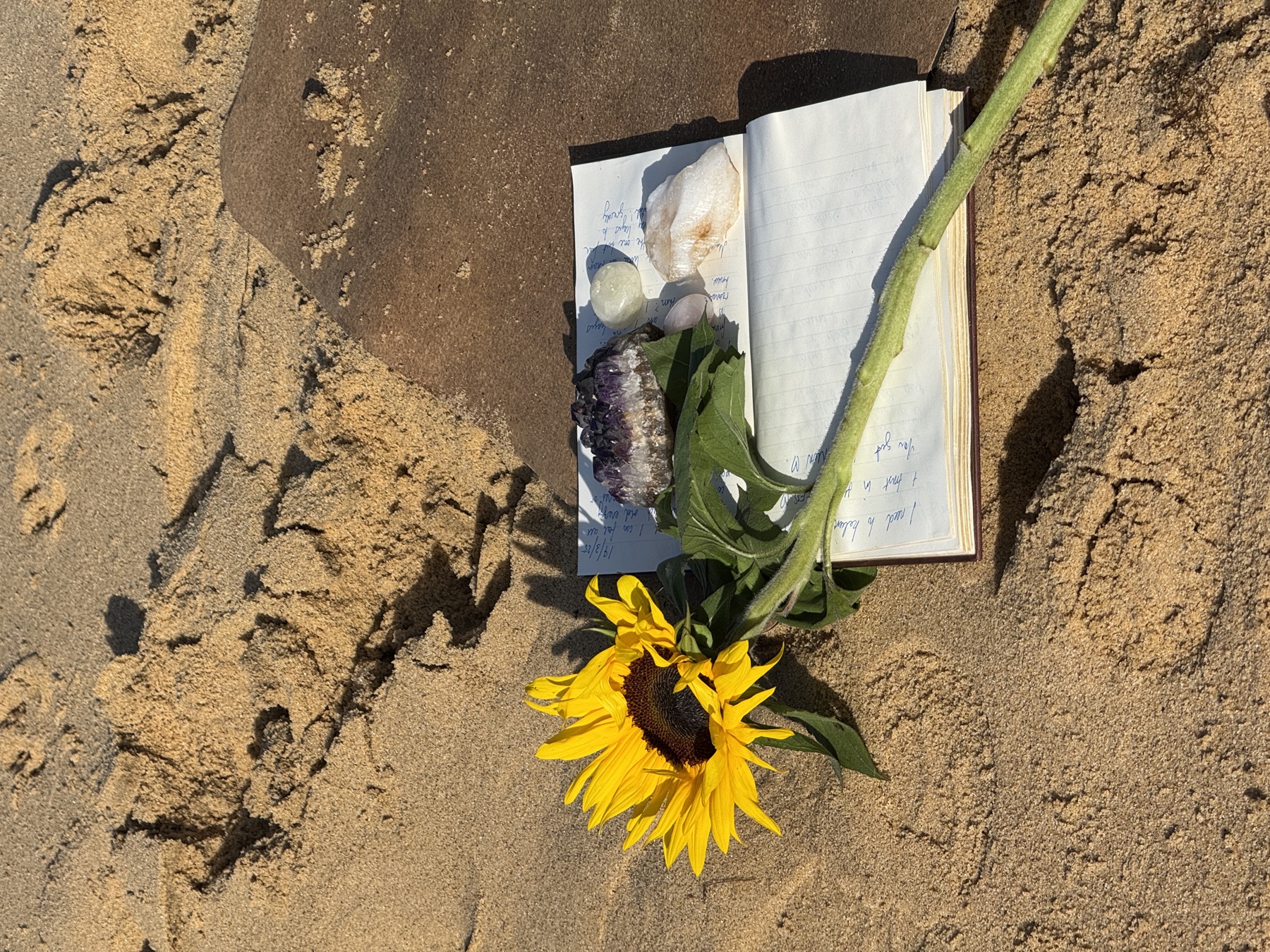Mon journalling on the sand with sunflowers and crystals